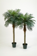 kunstplant Phoenix palm 150cm